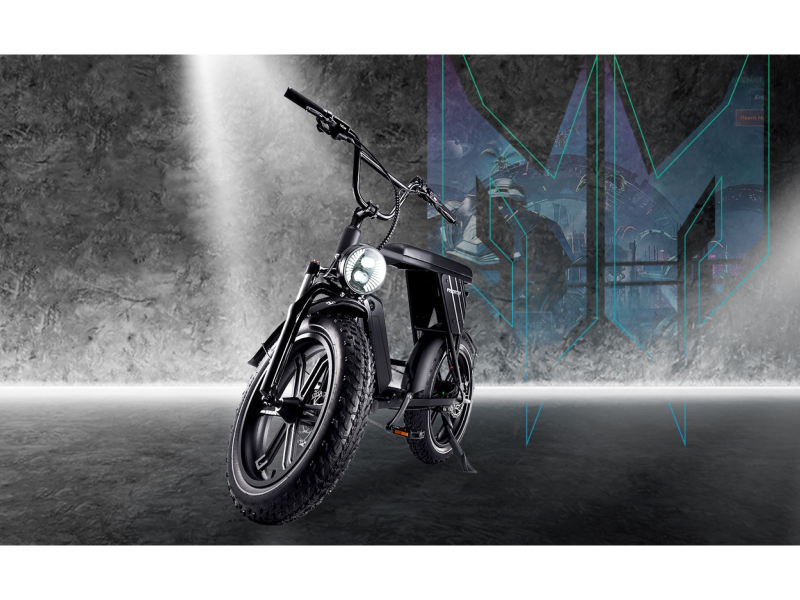 Predator eNomad-R掠奪者胖胎電輔車